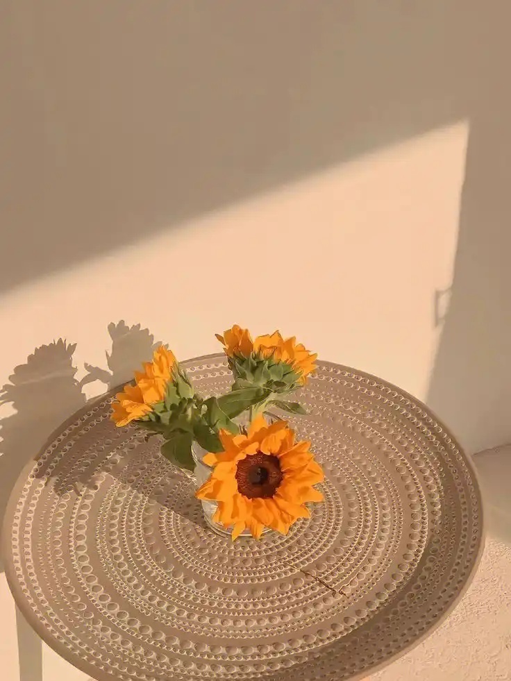 校门口妹子暗号2025安卓破解版V76.81.65下载